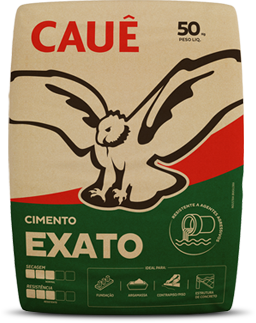 InterCement Brasil