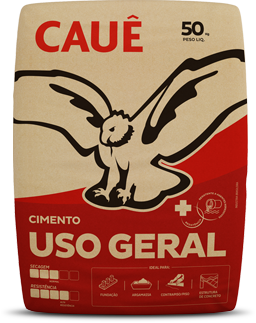 InterCement Brasil