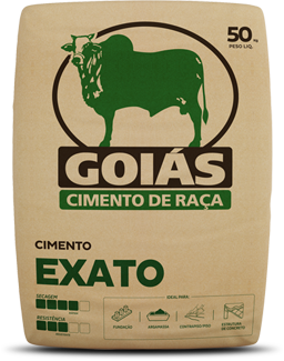 InterCement Brasil