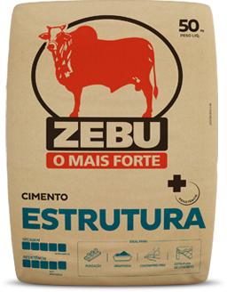 InterCement Brasil