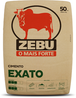 InterCement Brasil