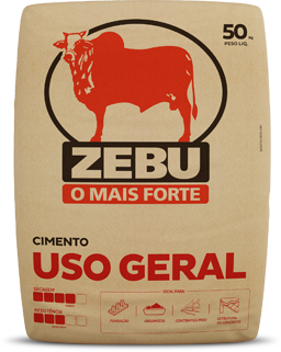 InterCement Brasil